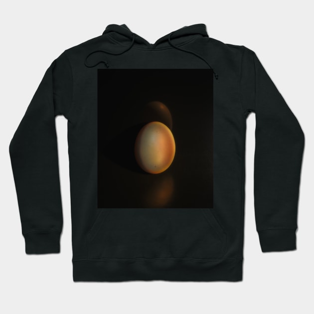 The Golden Egg Hoodie by Nigdaw